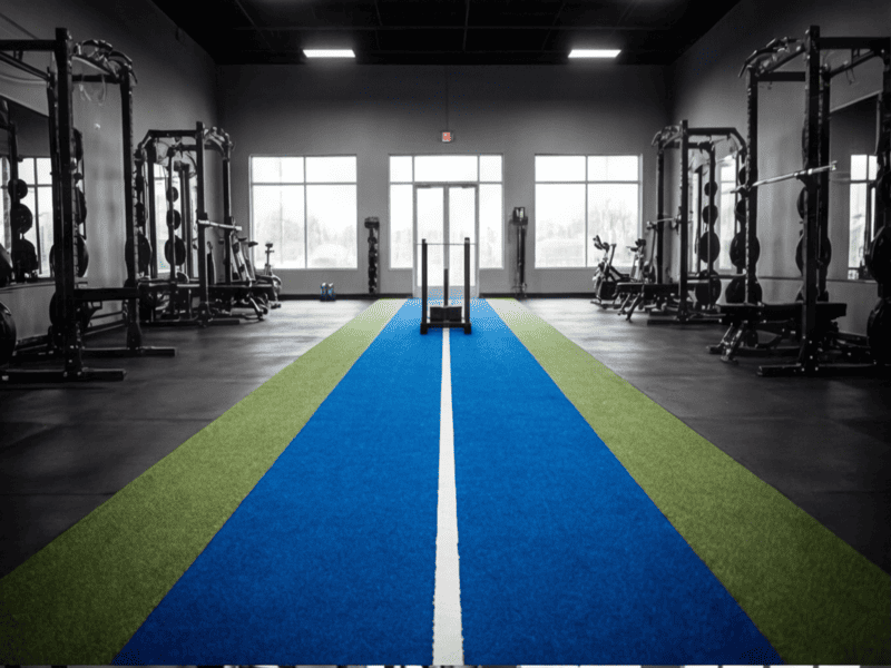 Vector diagram showing Force Y (downward) vs Force X (forward)